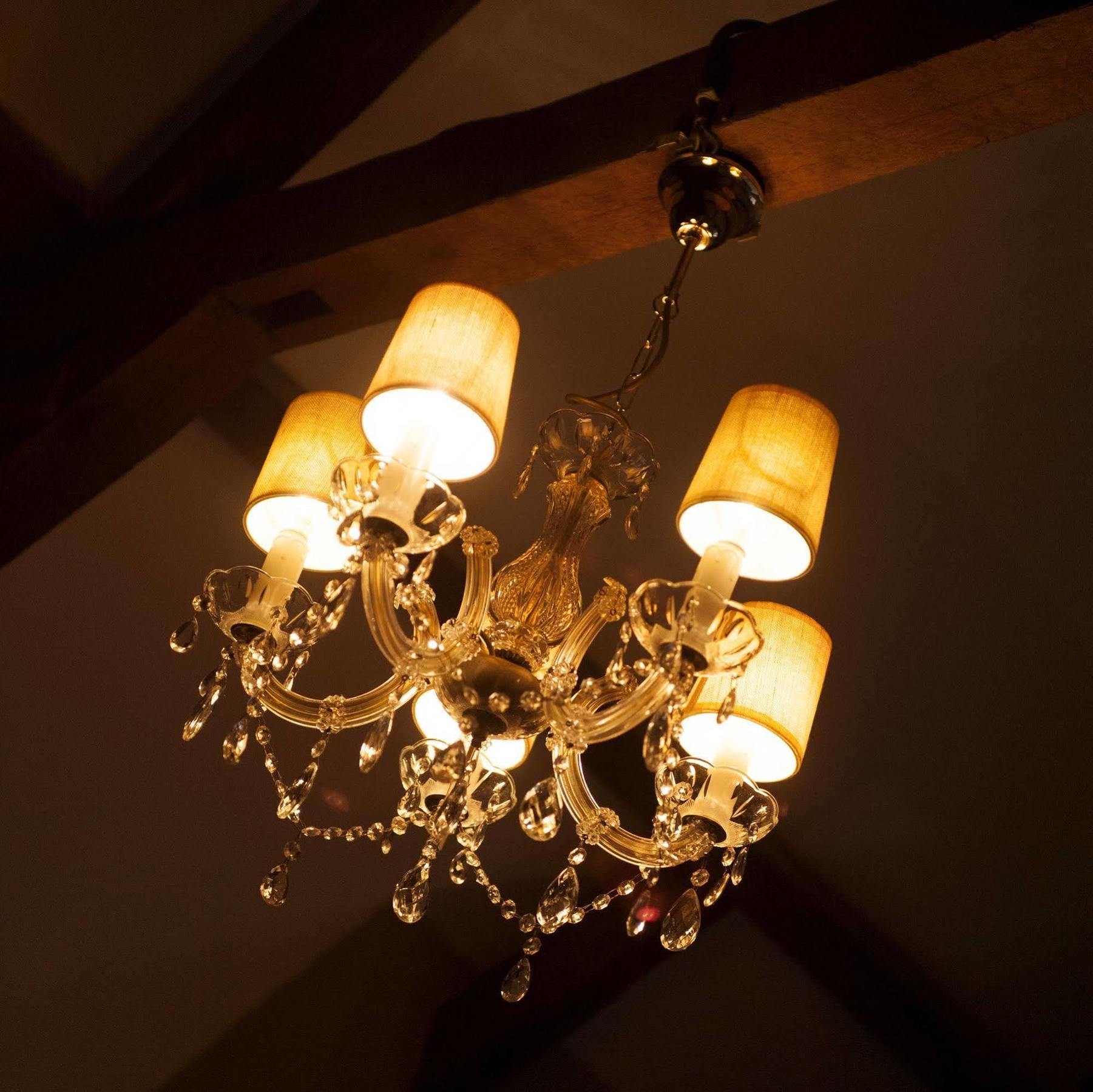 Guesthouse Vakantie Logies Hollywood Brugge Dış mekan fotoğraf